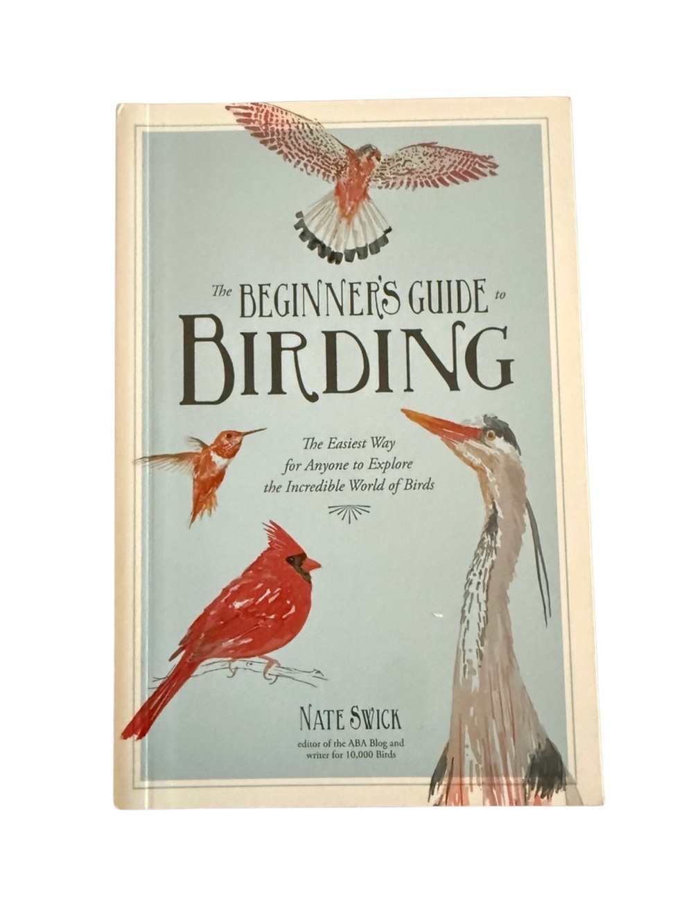 The Beginners Guide To Birding 🐦‍⬛